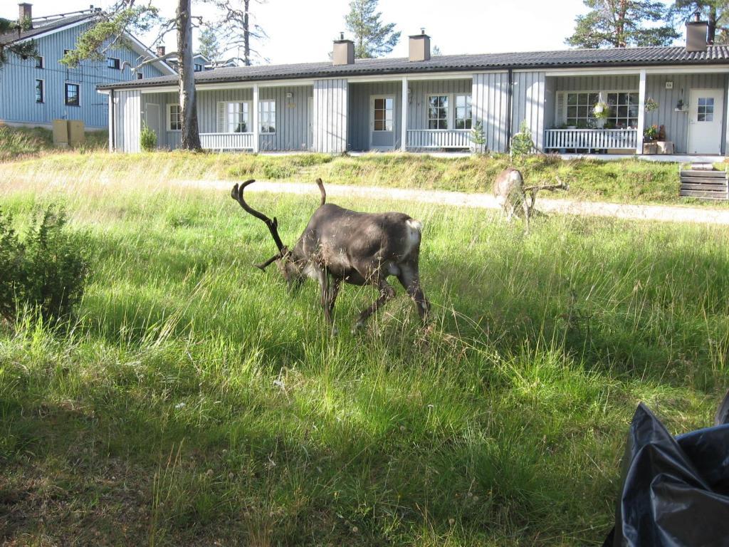 Aslak Apartment Saariselkä Eksteriør billede